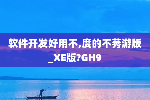 软件开发好用不,度的不莠游版_XE版?GH9