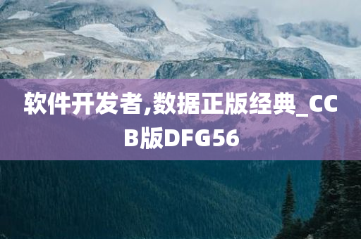 软件开发者,数据正版经典_CCB版DFG56