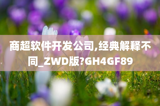 商超软件开发公司,经典解释不同_ZWD版?GH4GF89