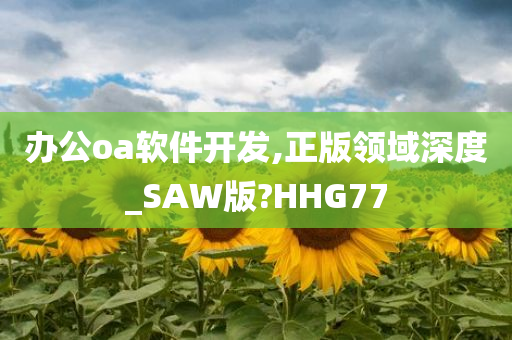 办公oa软件开发,正版领域深度_SAW版?HHG77