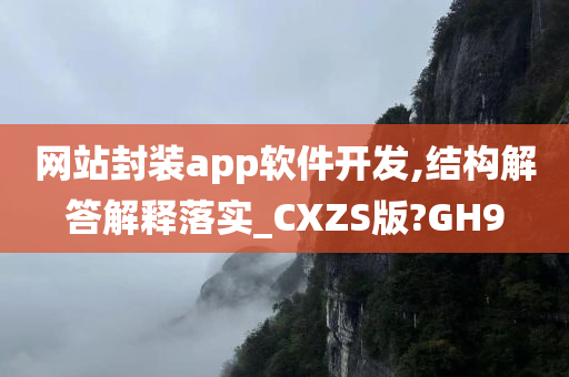 网站封装app软件开发,结构解答解释落实_CXZS版?GH9