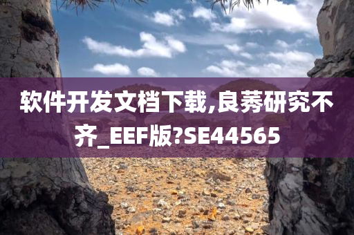 软件开发文档下载,良莠研究不齐_EEF版?SE44565