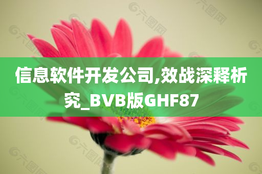 信息软件开发公司,效战深释析究_BVB版GHF87