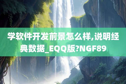 学软件开发前景怎么样,说明经典数据_EQQ版?NGF89