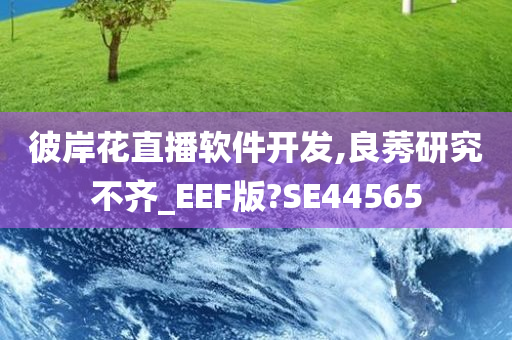 彼岸花直播软件开发,良莠研究不齐_EEF版?SE44565