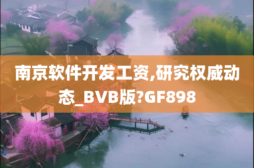 南京软件开发工资,研究权威动态_BVB版?GF898