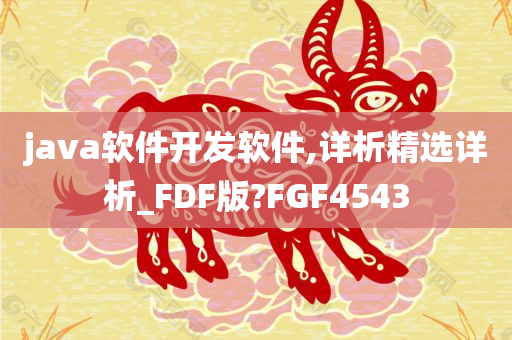 java软件开发软件,详析精选详析_FDF版?FGF4543