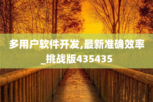 多用户软件开发,最新准确效率_挑战版435435