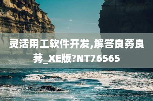 灵活用工软件开发,解答良莠良莠_XE版?NT76565