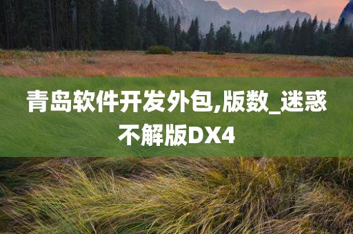 青岛软件开发外包,版数_迷惑不解版DX4