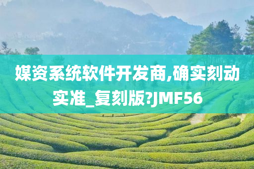 媒资系统软件开发商,确实刻动实准_复刻版?JMF56