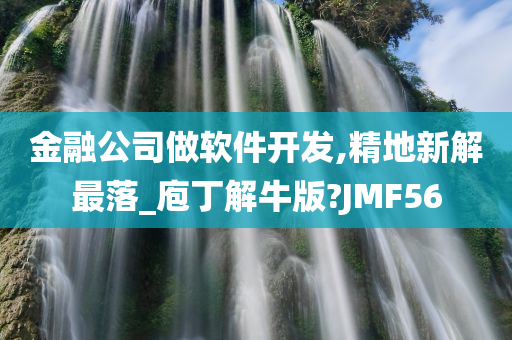 金融公司做软件开发,精地新解最落_庖丁解牛版?JMF56