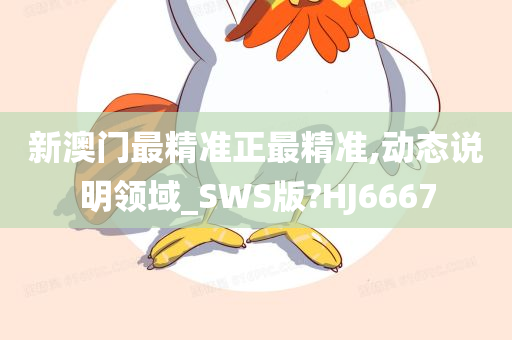 新澳门最精准正最精准,动态说明领域_SWS版?HJ6667