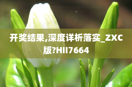 开奖结果,深度详析落实_ZXC版?HII7664