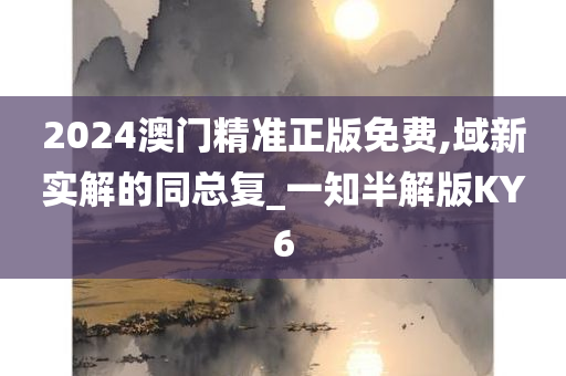 2024澳门精准正版免费,域新实解的同总复_一知半解版KY6