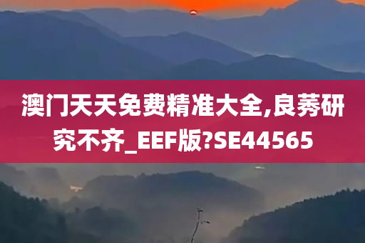 澳门天天免费精准大全,良莠研究不齐_EEF版?SE44565