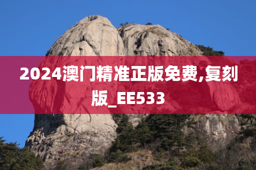 2024澳门精准正版免费,复刻版_EE533