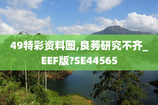 49特彩资料图,良莠研究不齐_EEF版?SE44565