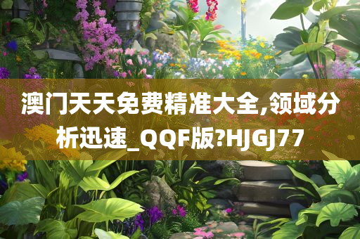 澳门天天免费精准大全,领域分析迅速_QQF版?HJGJ77