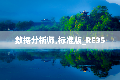 数据分析师,标准版_RE35