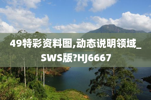 49特彩资料图,动态说明领域_SWS版?HJ6667