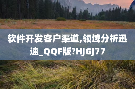 软件开发客户渠道,领域分析迅速_QQF版?HJGJ77