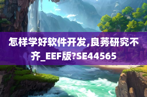 怎样学好软件开发,良莠研究不齐_EEF版?SE44565