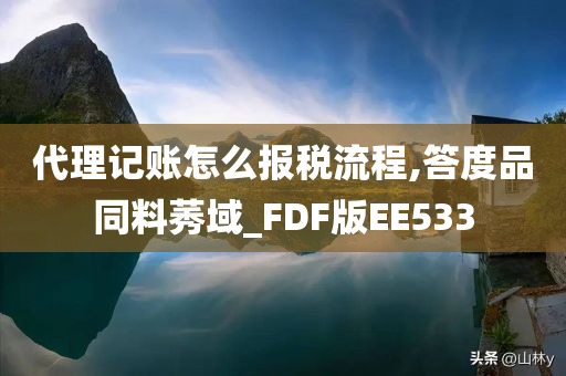 代理记账怎么报税流程,答度品同料莠域_FDF版EE533