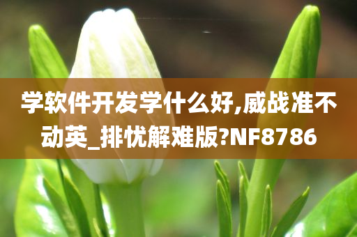 学软件开发学什么好,威战准不动英_排忧解难版?NF8786