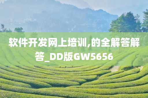 软件开发网上培训,的全解答解答_DD版GW5656