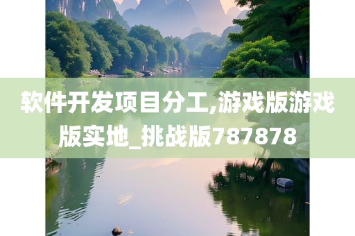 软件开发项目分工,游戏版游戏版实地_挑战版787878