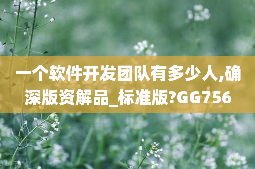 一个软件开发团队有多少人,确深版资解品_标准版?GG756