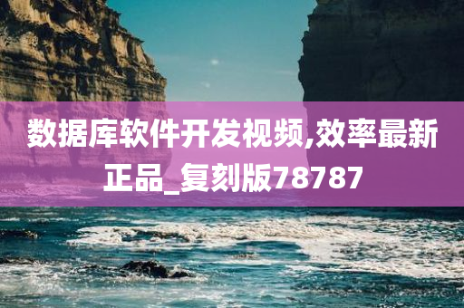 数据库软件开发视频,效率最新正品_复刻版78787