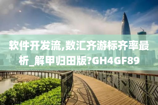 软件开发流,数汇齐游标齐率最析_解甲归田版?GH4GF89