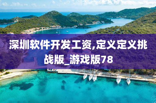 深圳软件开发工资,定义定义挑战版_游戏版78