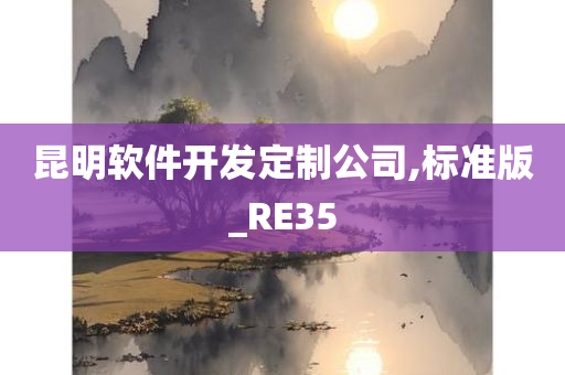 昆明软件开发定制公司,标准版_RE35