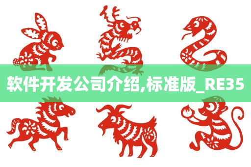 软件开发公司介绍,标准版_RE35