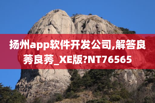 扬州app软件开发公司,解答良莠良莠_XE版?NT76565