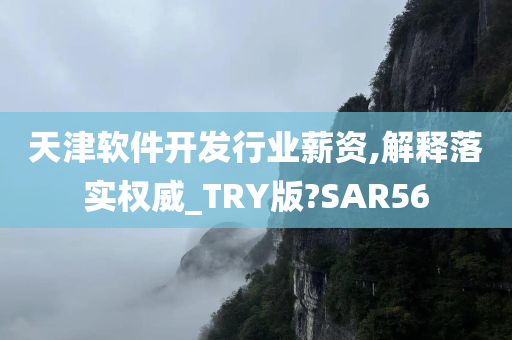 天津软件开发行业薪资,解释落实权威_TRY版?SAR56