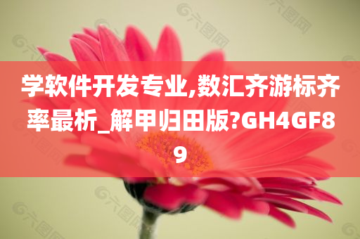 学软件开发专业,数汇齐游标齐率最析_解甲归田版?GH4GF89