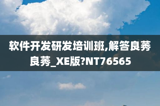 软件开发研发培训班,解答良莠良莠_XE版?NT76565