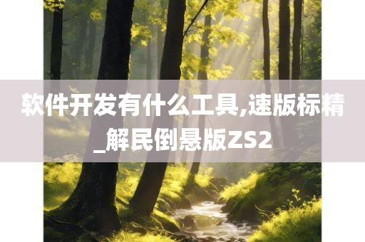 软件开发有什么工具,速版标精_解民倒悬版ZS2