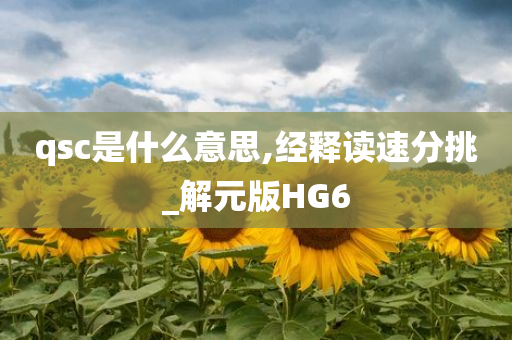 qsc是什么意思,经释读速分挑_解元版HG6