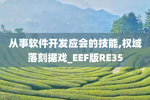 从事软件开发应会的技能,权域落刻据戏_EEF版RE35