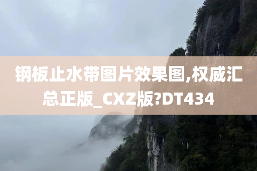 钢板止水带图片效果图,权威汇总正版_CXZ版?DT434