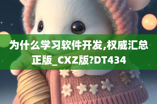 为什么学习软件开发,权威汇总正版_CXZ版?DT434