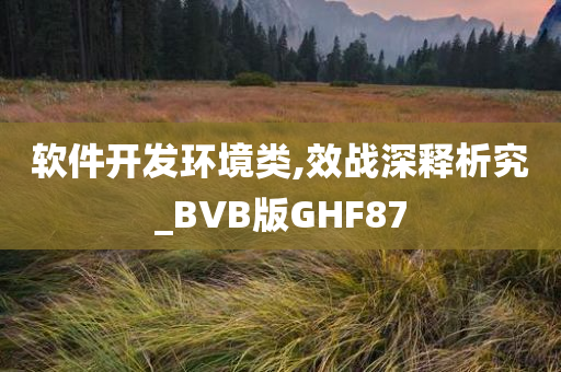 软件开发环境类,效战深释析究_BVB版GHF87