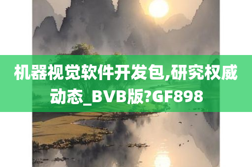 机器视觉软件开发包,研究权威动态_BVB版?GF898