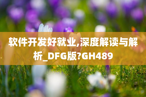 软件开发好就业,深度解读与解析_DFG版?GH489