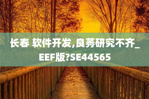 长春 软件开发,良莠研究不齐_EEF版?SE44565